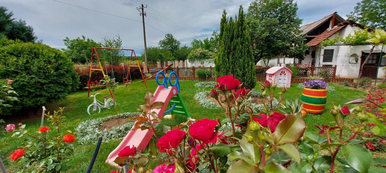 Guest House Dunavski Raj Kostol Bagian luar foto