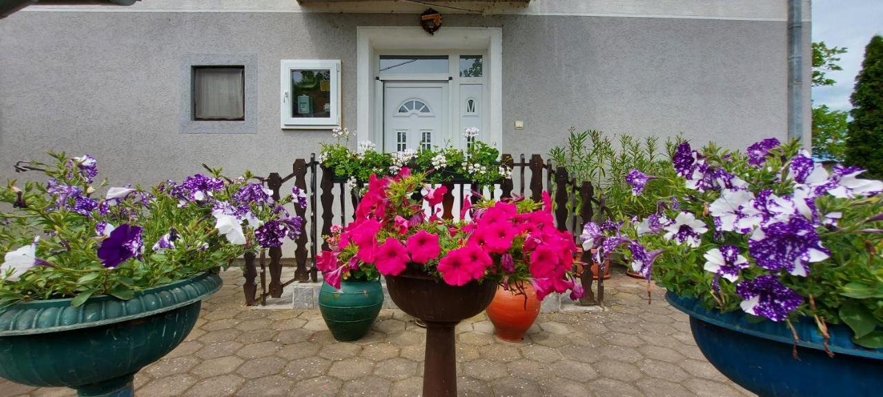 Guest House Dunavski Raj Kostol Bagian luar foto