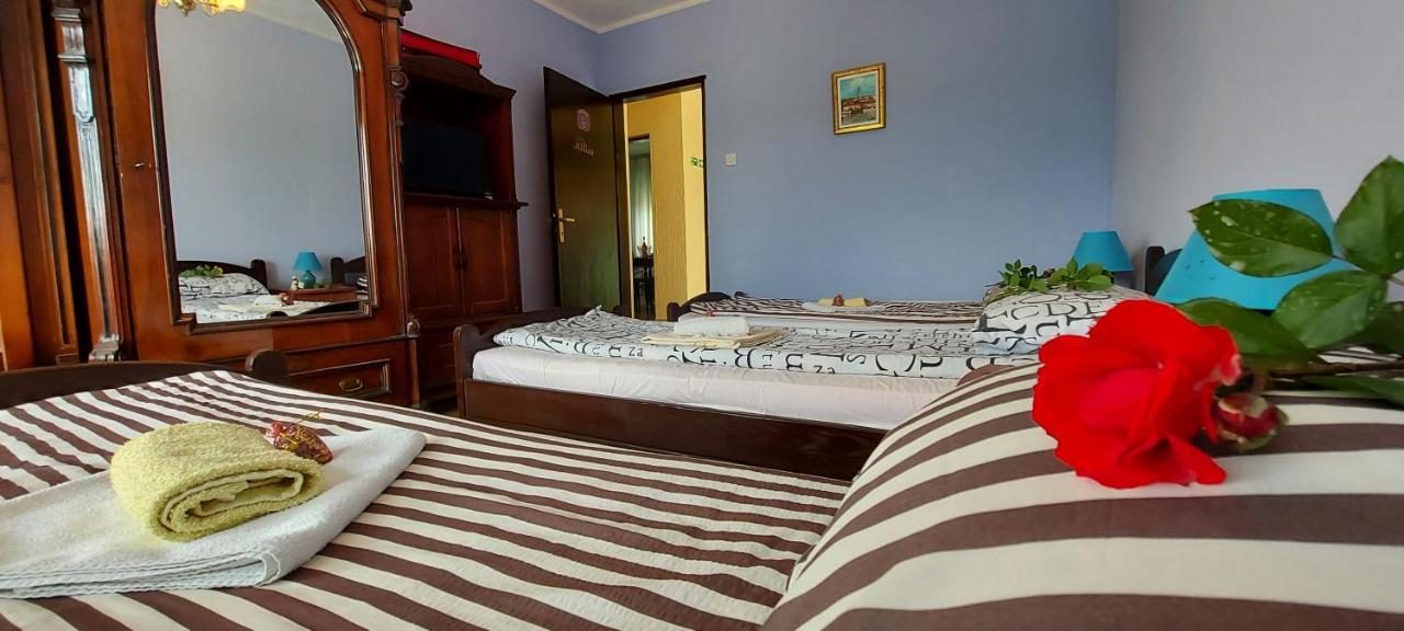 Guest House Dunavski Raj Kostol Bagian luar foto