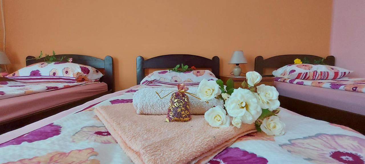 Guest House Dunavski Raj Kostol Bagian luar foto