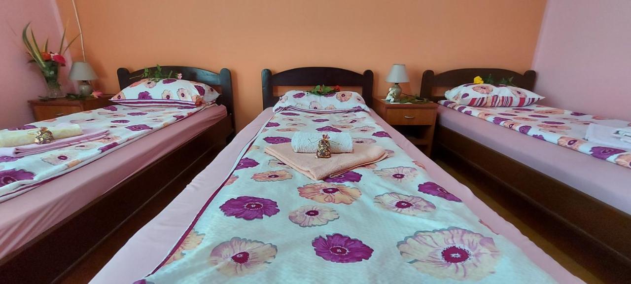 Guest House Dunavski Raj Kostol Bagian luar foto