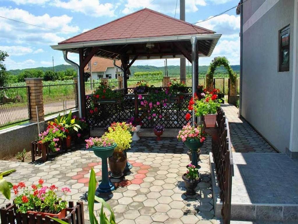 Guest House Dunavski Raj Kostol Bagian luar foto