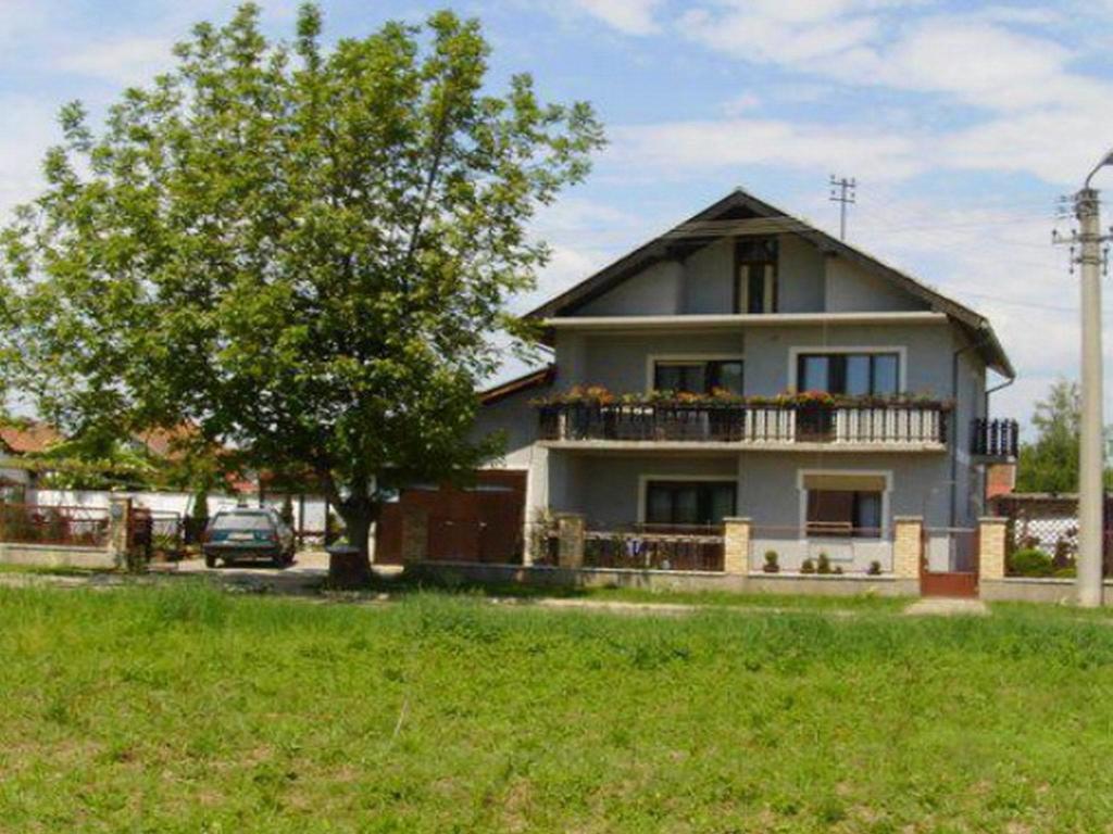Guest House Dunavski Raj Kostol Bagian luar foto