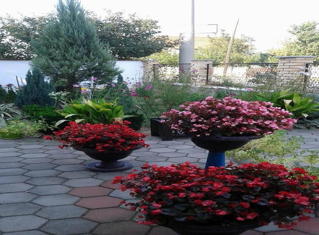 Guest House Dunavski Raj Kostol Bagian luar foto
