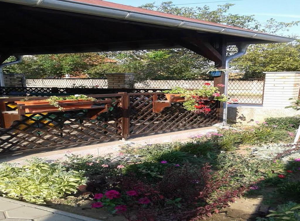 Guest House Dunavski Raj Kostol Bagian luar foto